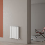 Carisa Angers Double Designer Horizontal Radiator