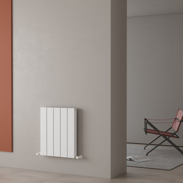 Carisa Angers Double Designer Horizontal Radiator
