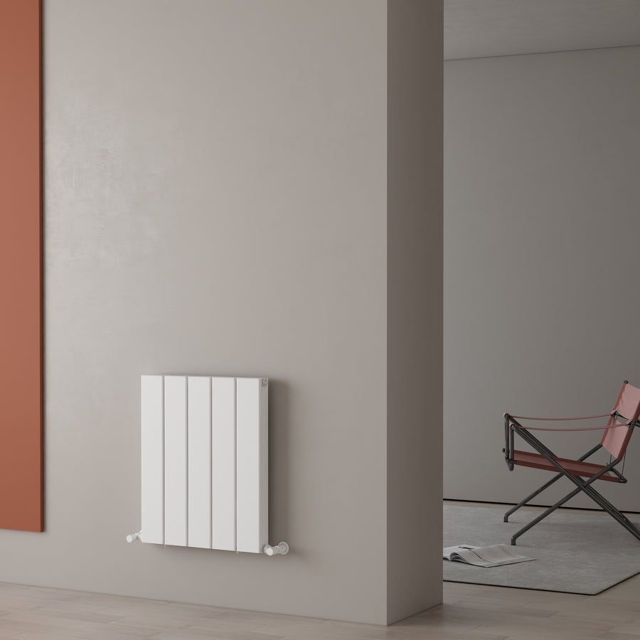 Carisa Angers Double Designer Horizontal Radiator