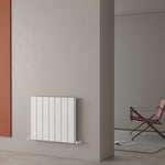 Carisa Angers Double Designer Horizontal Radiator
