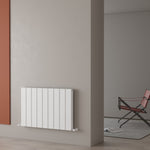 Carisa Angers Double Designer Horizontal Radiator