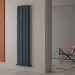 Carisa Angers Double Designer Vertical Radiator