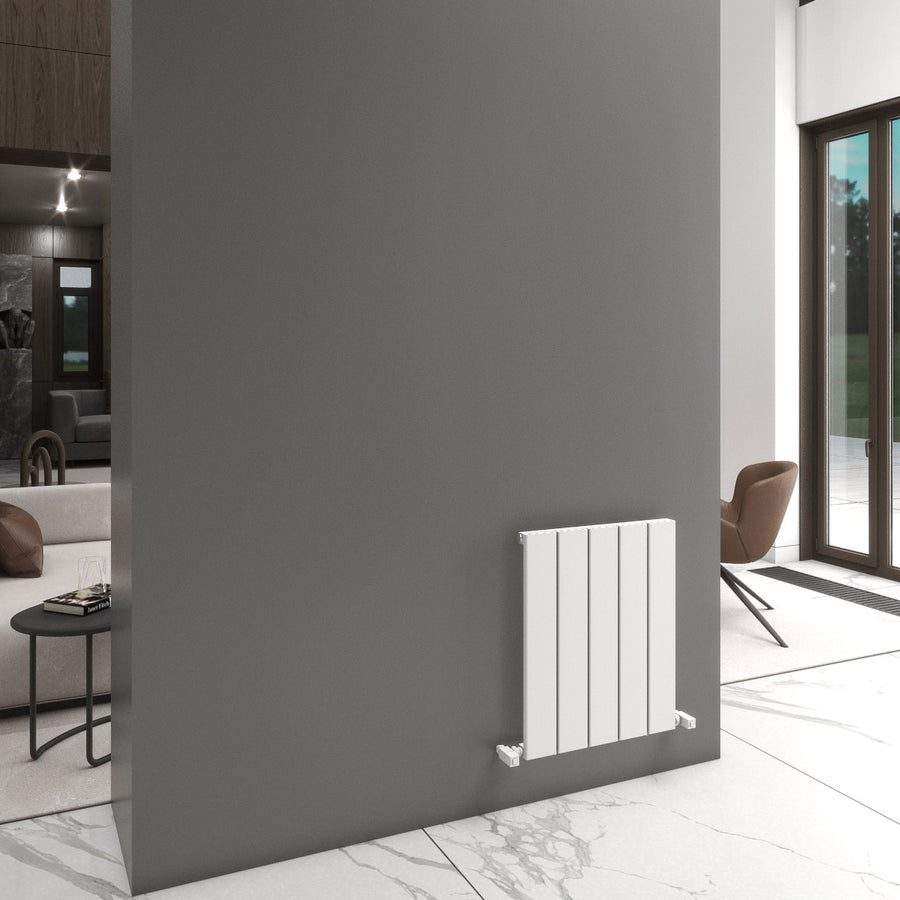 Carisa Angers Single Designer Horizontal Radiator