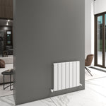 Carisa Angers Single Designer Horizontal Radiator