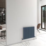 Carisa Angers Single Designer Horizontal Radiator
