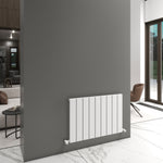 Carisa Angers Single Designer Horizontal Radiator