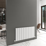 Carisa Angers Single Designer Horizontal Radiator