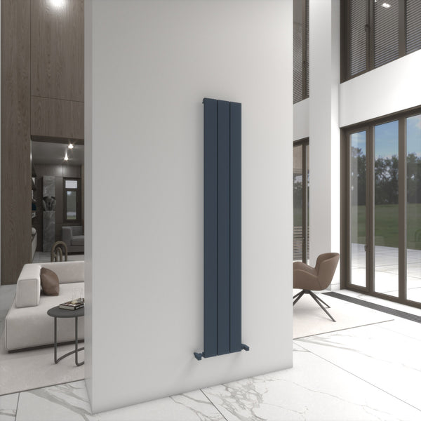 Carisa Angers Single Designer Vertical Radiator