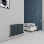 Carisa Chambord Designer Horizontal Radiator