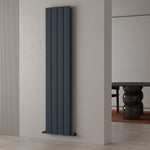 Carisa Chambord Double Designer Vertical Radiator