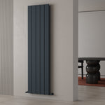 Carisa Chambord Double Designer Vertical Radiator