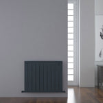 Carisa Mack Horizontal Radiator