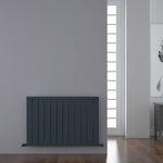 Carisa Mack Horizontal Radiator