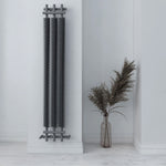 Carisa Dora Designer Vertical Radiator