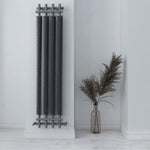 Carisa Dora Designer Vertical Radiator