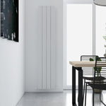 Carisa Monza Double Designer Vertical Radiator