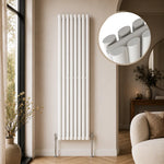 Aura Alma Double Oval Vertical Designer Radiator