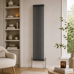 Aura 2 Column Vertical Radiator