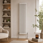 Aura 2 Column Vertical Radiator