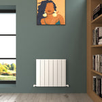 CARISA DUNE VERTICAL RADIATOR