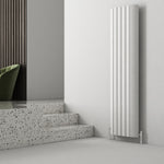 Carisa Gaia Designer Vertical Radiator