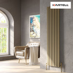 Kartell Hamilton Single Vertical Designer Radiator
