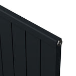 Carisa Mack Designer Vertical Radiator