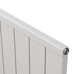 Carisa Mack Designer Vertical Radiator