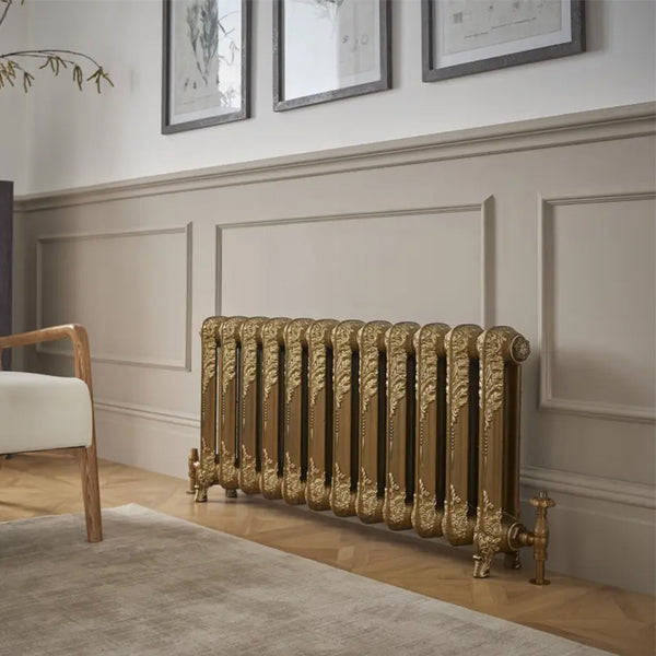 Paladin Shaftsbury Cast Iron Column Radiator