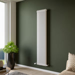 Eucotherm Phoenix 2 Column Steel Designer Vertical Radiator