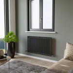 Eucotherm Phoenix 2 Column Steel Designer Horizontal Radiator