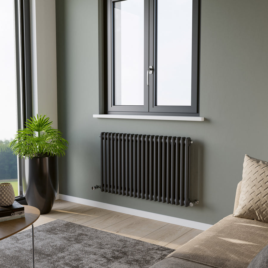 Eucotherm Phoenix 2 Column Steel Designer Horizontal Radiator