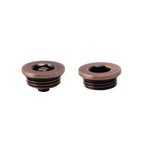 Premium Manual Radiator Air Vent and Plug Kit