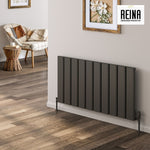 Reina Caldaro Horizontal Aluminium Radiator