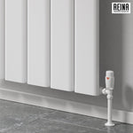 Reina Caldaro Vertical Aluminium Radiator