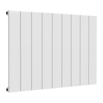Reina Casina C Single Horizontal Radiator