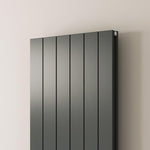 Reina Casina C Single Vertical Radiator