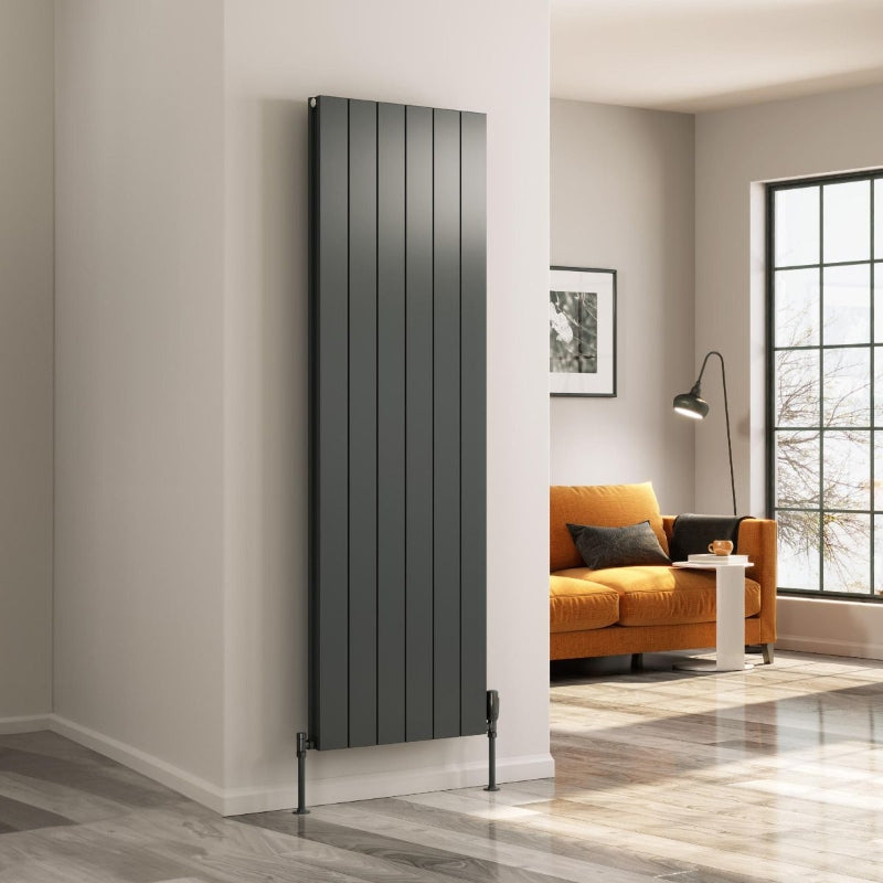 Reina Casina C Single Vertical Radiator