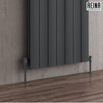 Reina Gio Designer Vertical Radiator