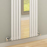 Reina Reflect Vertical Designer Steel Radiator
