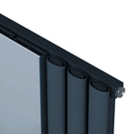 Carisa Tallis Mirror Designer Vertical Radiator