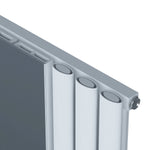 Carisa Tallis Mirror Designer Vertical Radiator