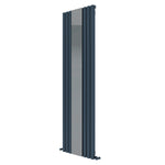 Carisa Tallis Mirror Designer Vertical Radiator