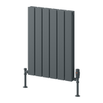 Reina Piatto Horizontal Double Designer Radiator