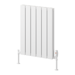 Reina Piatto Horizontal Double Designer Radiator