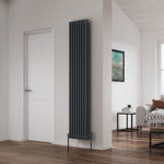 Reina Colona Vertical Column Radiator