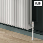 Reina Hedingham Horizontal Designer Column Radiator