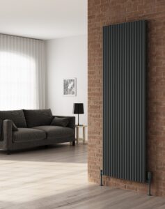 A tall sleek Anthracite Radiators adds a touch of sophistication to a modern living room